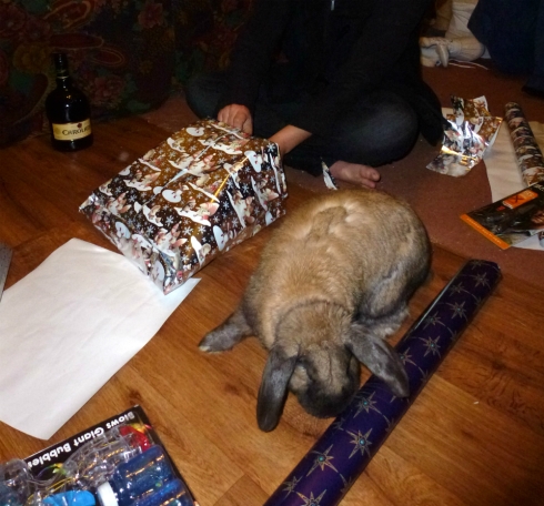 Helping with the Christmas wrapping